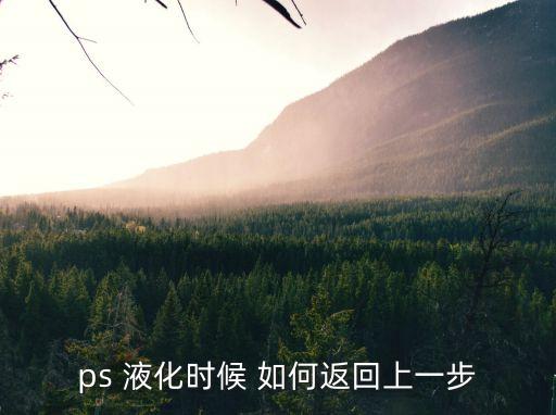 ps 液化時候 如何返回上一步