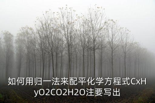 如何用歸一法來配平化學(xué)方程式CxHyO2CO2H2O注要寫出