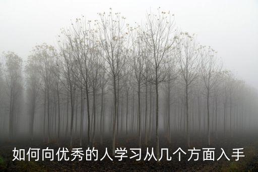 向優(yōu)秀的人學(xué)習(xí)，我會(huì)向優(yōu)秀的人學(xué)習(xí) 翻譯成英文