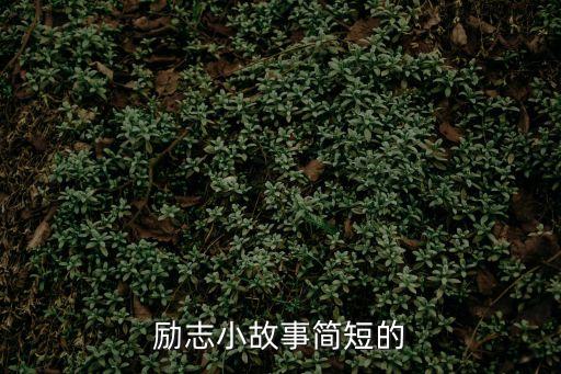 勵志小故事簡短的
