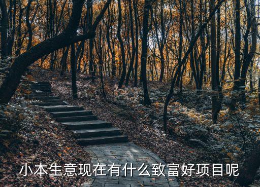 小本生意現(xiàn)在有什么致富好項(xiàng)目呢