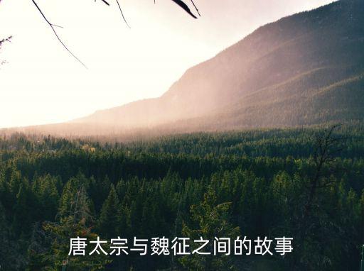 唐太宗與魏征，唐太宗與魏征