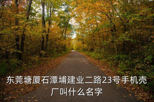 東莞塘廈石潭埔建業二路23號手機殼廠叫什么名字