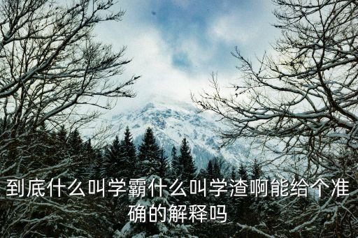 到底什么叫學霸什么叫學渣啊能給個準確的解釋嗎