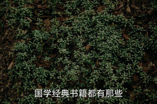 國學經典書籍，國學經典書籍都有那些