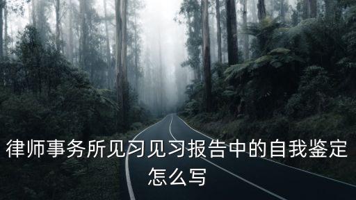 律師事務所見習見習報告中的自我鑒定怎么寫