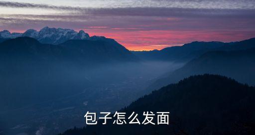 包子發面，包包子怎么發面