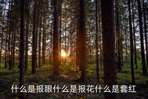 什么是報(bào)眼什么是報(bào)花什么是套紅