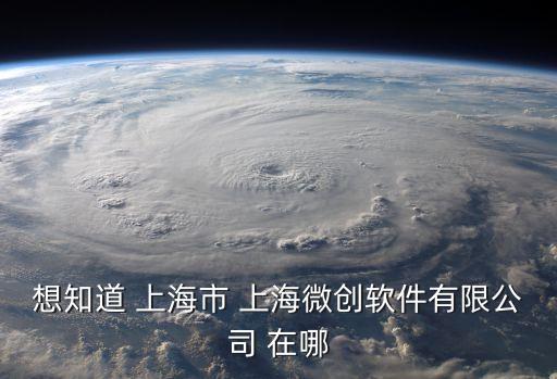 想知道 上海市 上海微創軟件有限公司 在哪