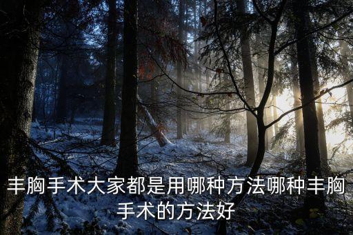 豐胸術，豐胸手術大家都是用哪種方法哪種豐胸手術的方法好