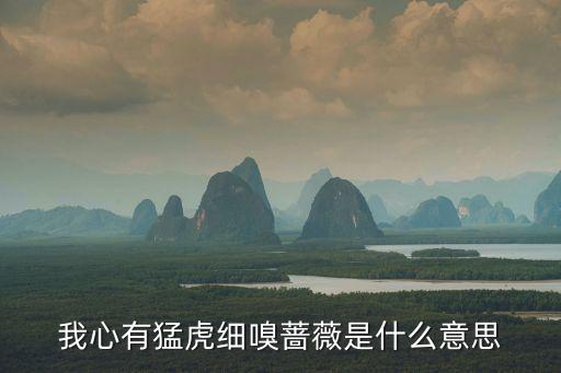 我心有猛虎細嗅薔薇是什么意思
