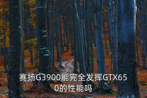 賽揚G3900能完全發揮GTX650的性能嗎