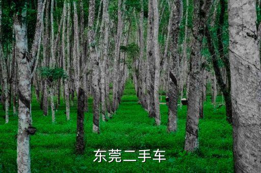 東莞二手車