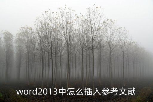 word2013中怎么插入參考文獻