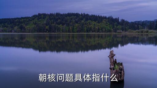 朝核，朝核問題具體指什么