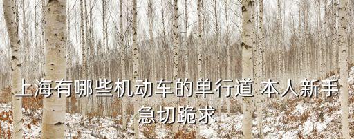 上海市五原路是單行道嗎，請問 上海市所有的機動車單行路的名稱和方向