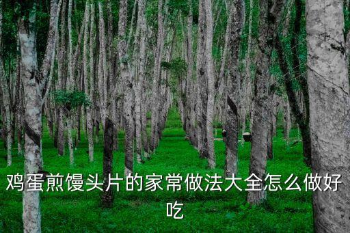 雞蛋煎饅頭片的家常做法大全怎么做好吃