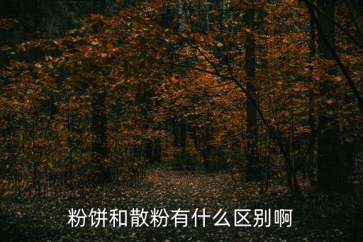 粉餅和散粉，粉餅和散粉有什么區別啊