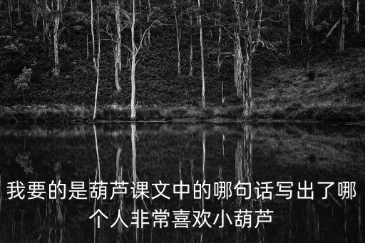 我要的是葫蘆課文中的哪句話寫出了哪個人非常喜歡小葫蘆