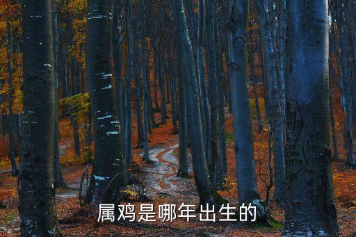 屬雞是哪年出生的