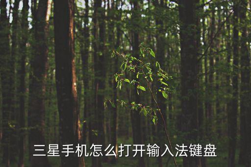 三星鍵盤，三星PKB3000鍵盤有什么好