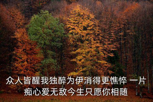 眾人皆醒我獨醉為伊消得更憔悴 一片癡心愛無敵今生只愿你相隨