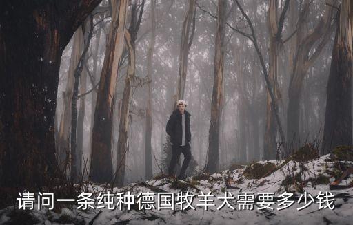 德牧價(jià)格，一個(gè)德國(guó)牧羊犬多少錢(qián)啊