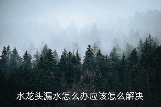 水龍頭漏水，水龍頭漏水怎么辦應該怎么解決