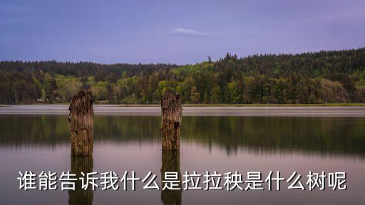 拉拉秧，拉拉秧河南話的學(xué)名叫什么草 就是平常見(jiàn)的和黃瓜的騰很像的哪