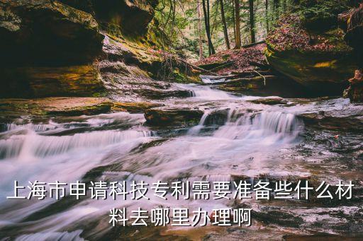 上海市市科委課題申報(bào)，上海市申請(qǐng)科技專利需要準(zhǔn)備些什么材料去哪里辦理啊