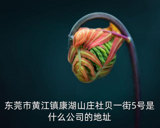 東莞市黃江鎮康湖山莊社貝一街5號是什么公司的地址