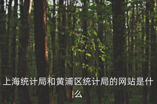 上海統(tǒng)計(jì)局和黃浦區(qū)統(tǒng)計(jì)局的網(wǎng)站是什么