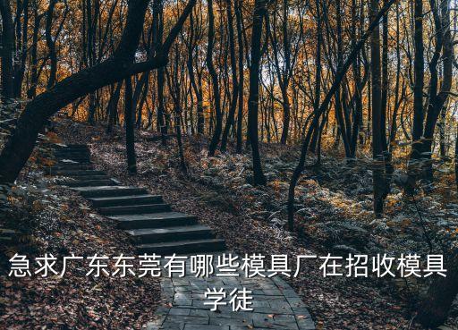 東莞順佳模具廠，東莞順佳木工刀具廠怎么樣