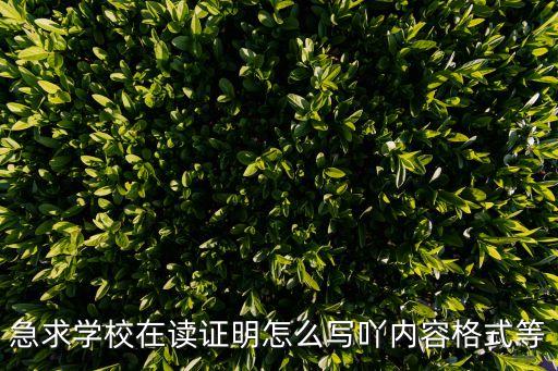 急求學校在讀證明怎么寫吖內容格式等