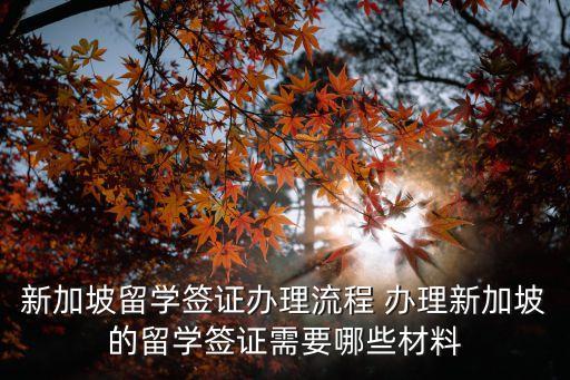 新加坡留學簽證，新加坡留學簽證怎么辦理