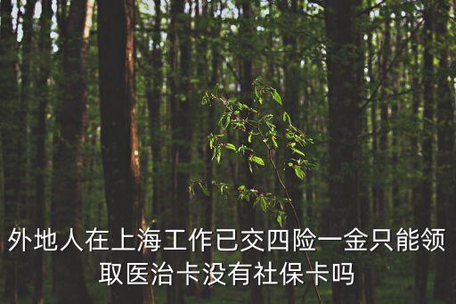 上海市沒有實體社保卡，外地戶口現在上海為什么公司給交了五險一金而沒有社會保障