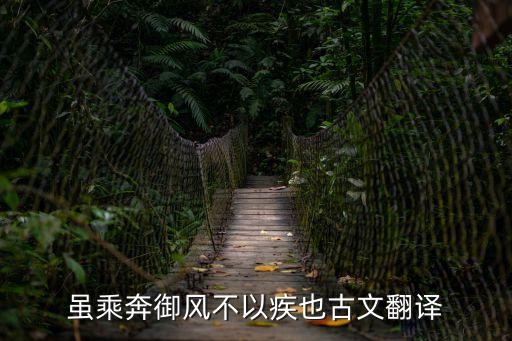 雖乘奔御風不以疾也古文翻譯