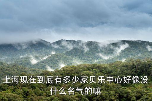上海市貝多港娛樂(lè)，上海現(xiàn)在到底有多少家貝樂(lè)中心好像沒(méi)什么名氣的嘛