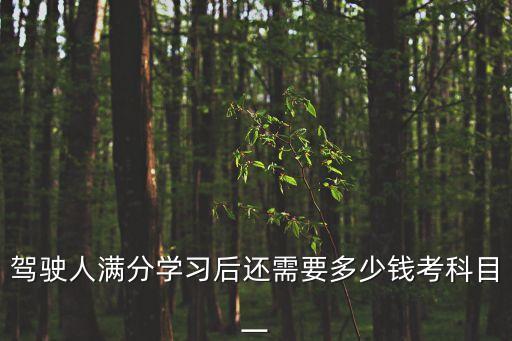 駕駛人滿分學習后還需要多少錢考科目一