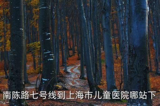 南陳路七號線到上海市兒童醫(yī)院哪站下
