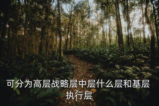 中層，可分為高層戰略層中層什么層和基層 執行層