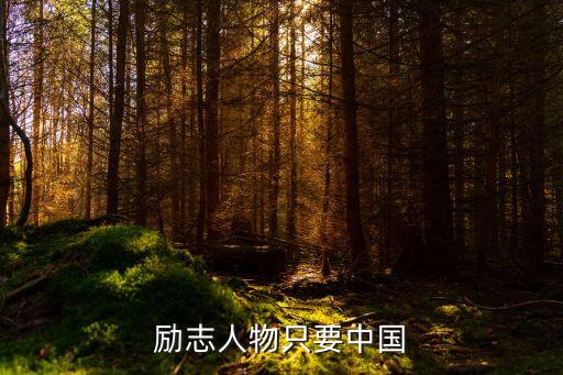 中國勵志人物，勵志人物只要中國