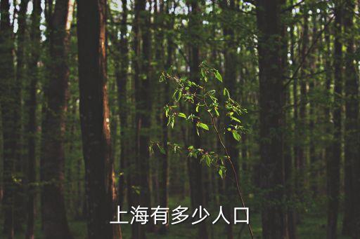 上海市人口戶籍人口排名，上海有多少人口