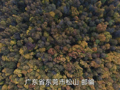 東莞市松山工業園郵編，東莞松山湖新能源的具體地址和郵編是啥是屬于哪個鎮