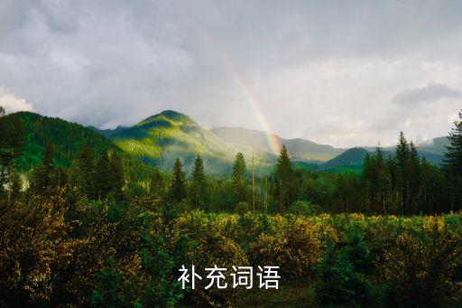 補充的意思，補充什么意思