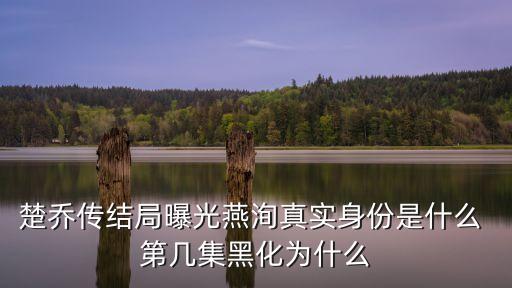 楚喬傳結局曝光燕洵真實身份是什么 第幾集黑化為什么