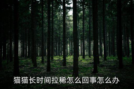 貓貓長時間拉稀怎么回事怎么辦