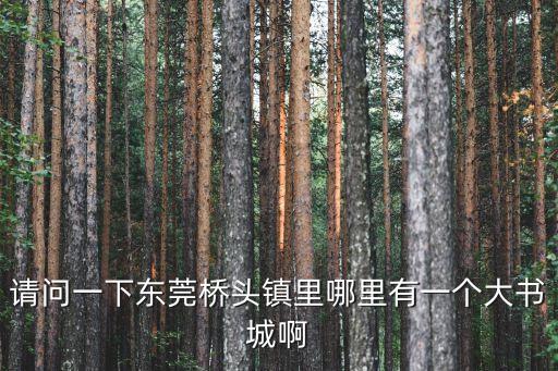 請問一下東莞橋頭鎮里哪里有一個大書城啊
