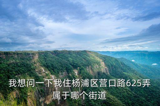 我想問一下我住楊浦區營口路625弄屬于哪個街道
