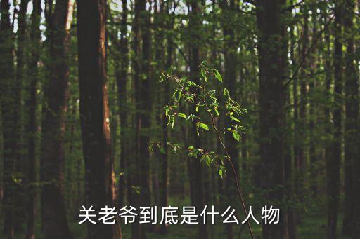關老爺，關老爺到底是什么人物